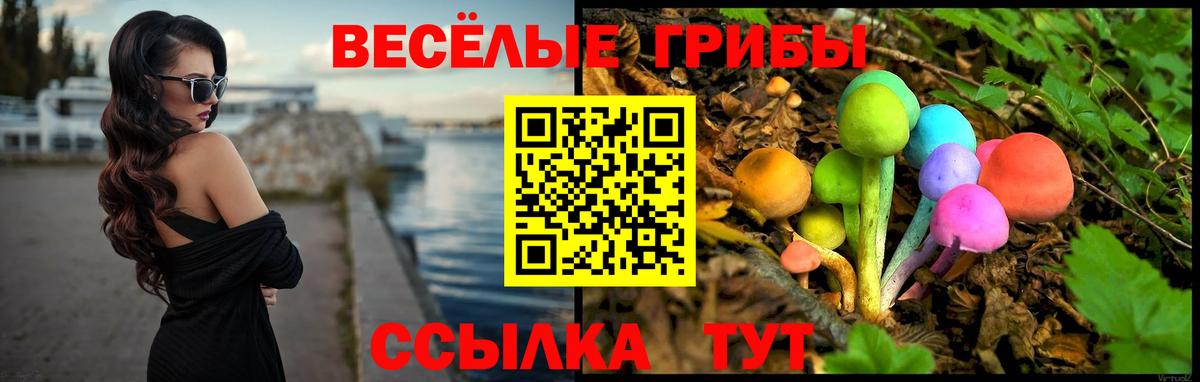 Псилоцибиновые грибы прущие грибы  Вход с VPN  Сланцы  Галлюциногенные грибы прущие грибы 