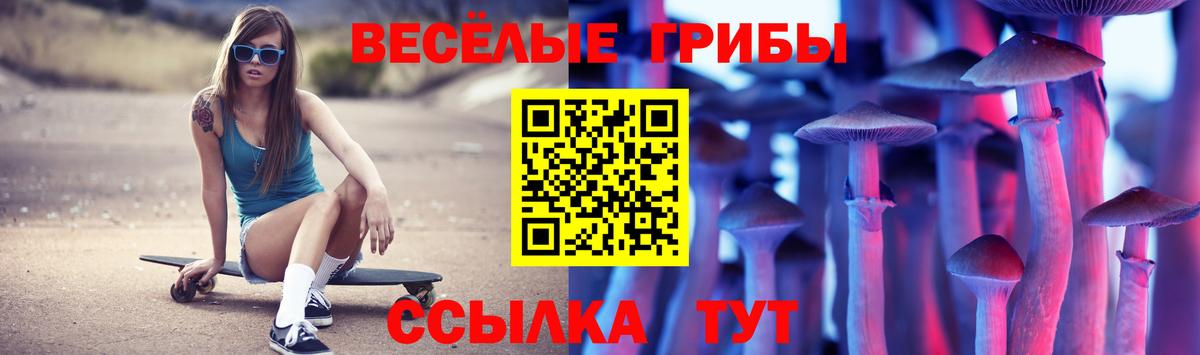 Псилоцибиновые грибы Cubensis Сланцы